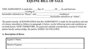 Equine Bill Of Sale