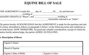 Equine Bill Of Sale