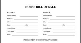 Horse Bill Of Sale Form