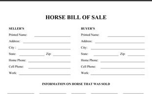 Horse Bill Of Sale Form